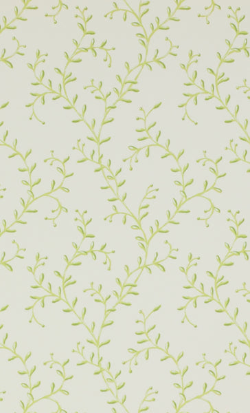 PAPEL DE PARED BERRY