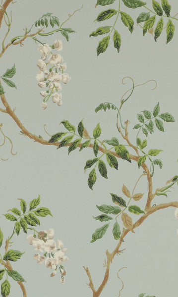 PAPEL DE PARED ALDER