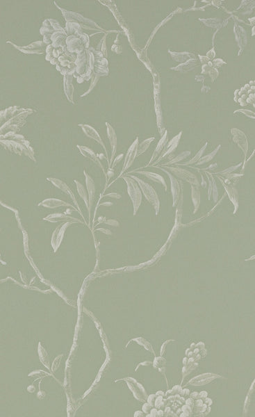 PAPEL DE PARED DELAN