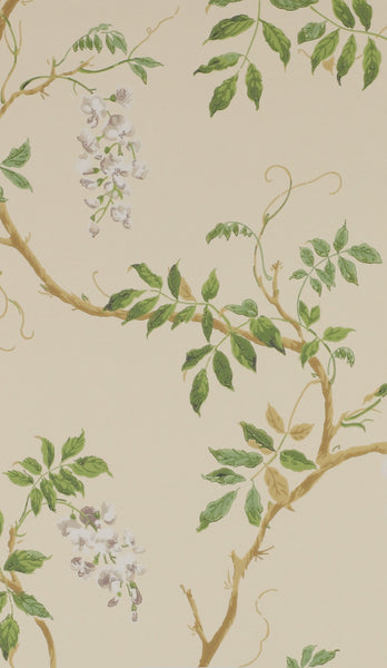 PAPEL DE PARED ALDER
