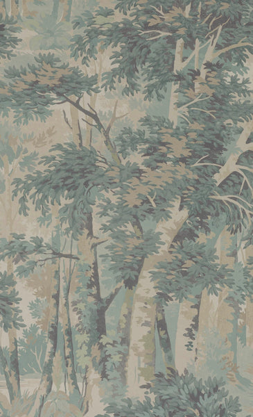 PAPEL DE PARED FOREST