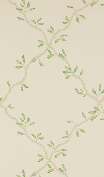 PAPEL DE PARED TRELLIS