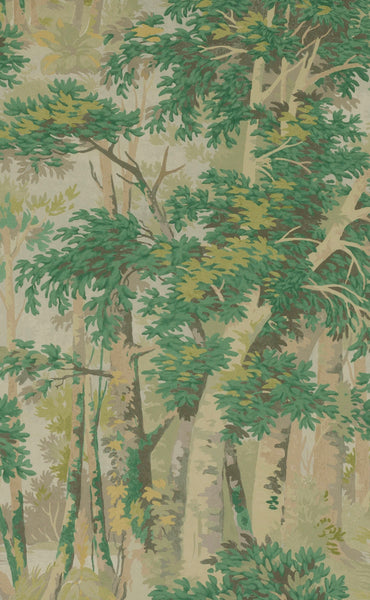 PAPEL DE PARED FOREST