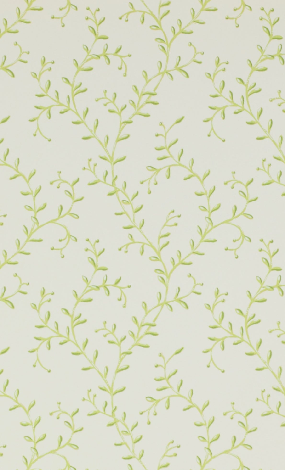 PAPEL DE PARED BERRY