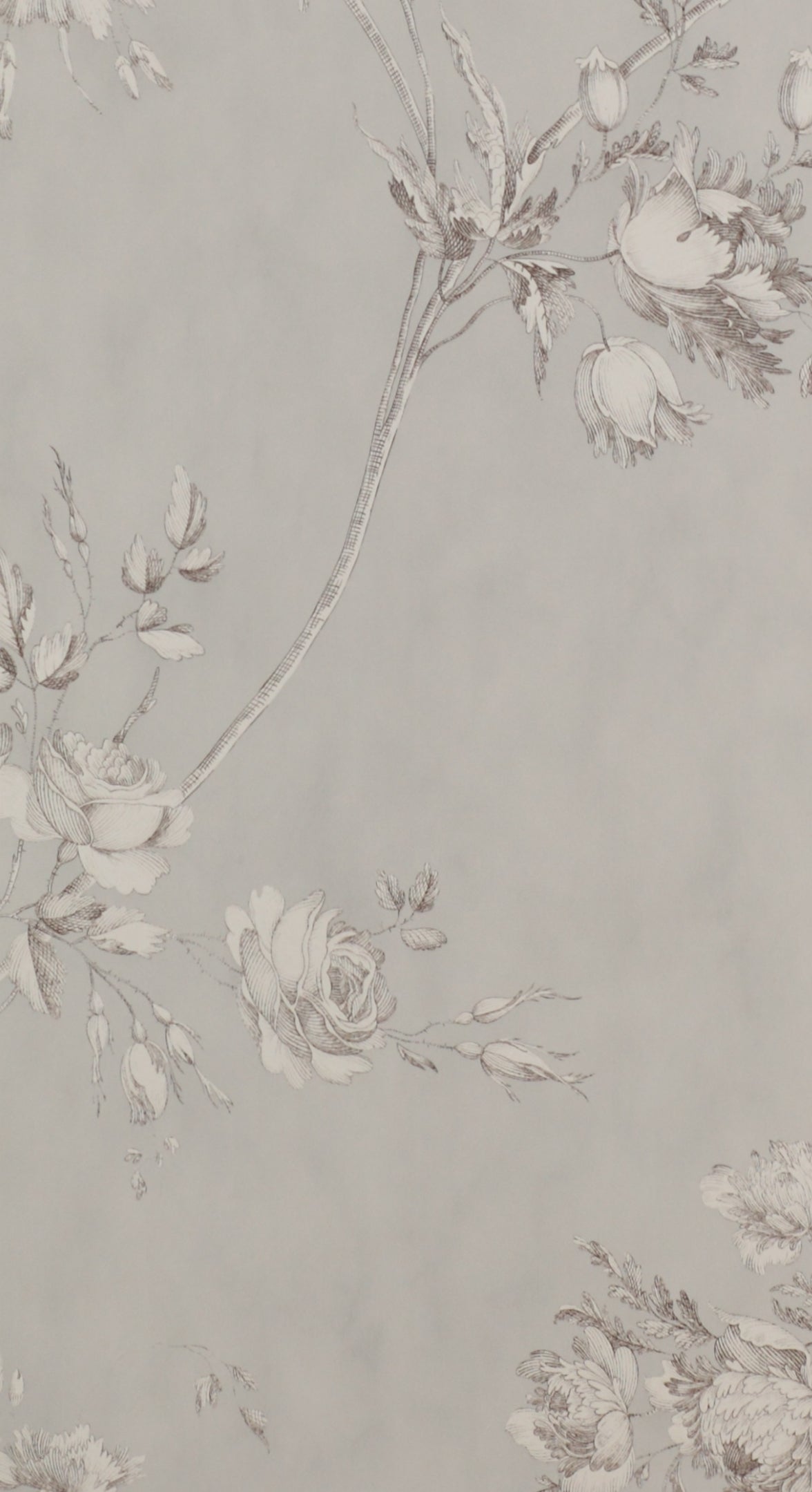PAPEL DE PARED DARCI