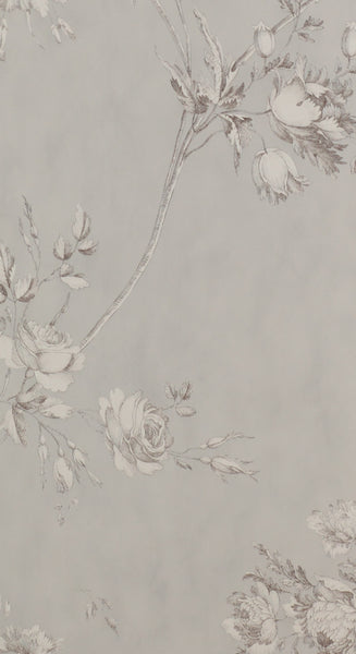 PAPEL DE PARED DARCI
