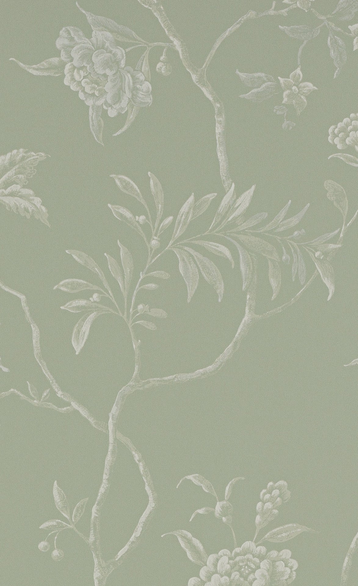 PAPEL DE PARED DELAN