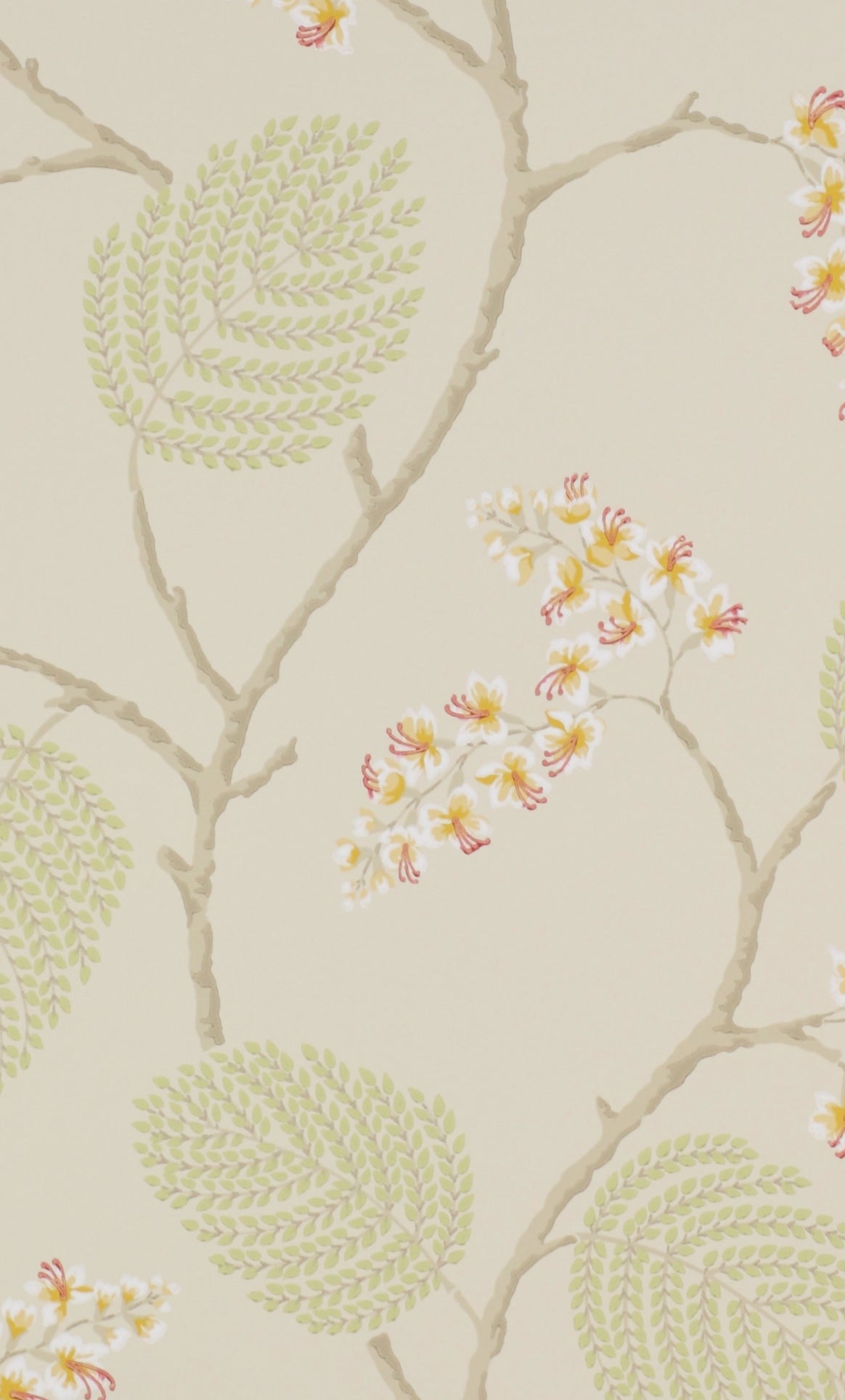 PAPEL DE PARED ATWOOD