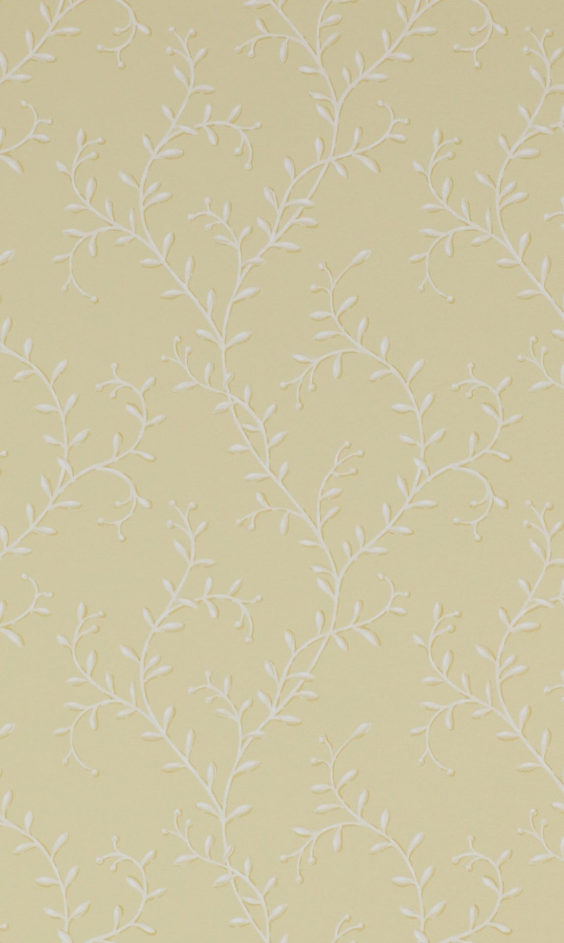 PAPEL DE PARED BERRY