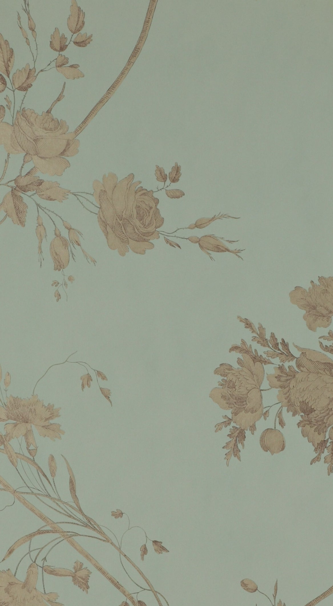 PAPEL DE PARED DARCI
