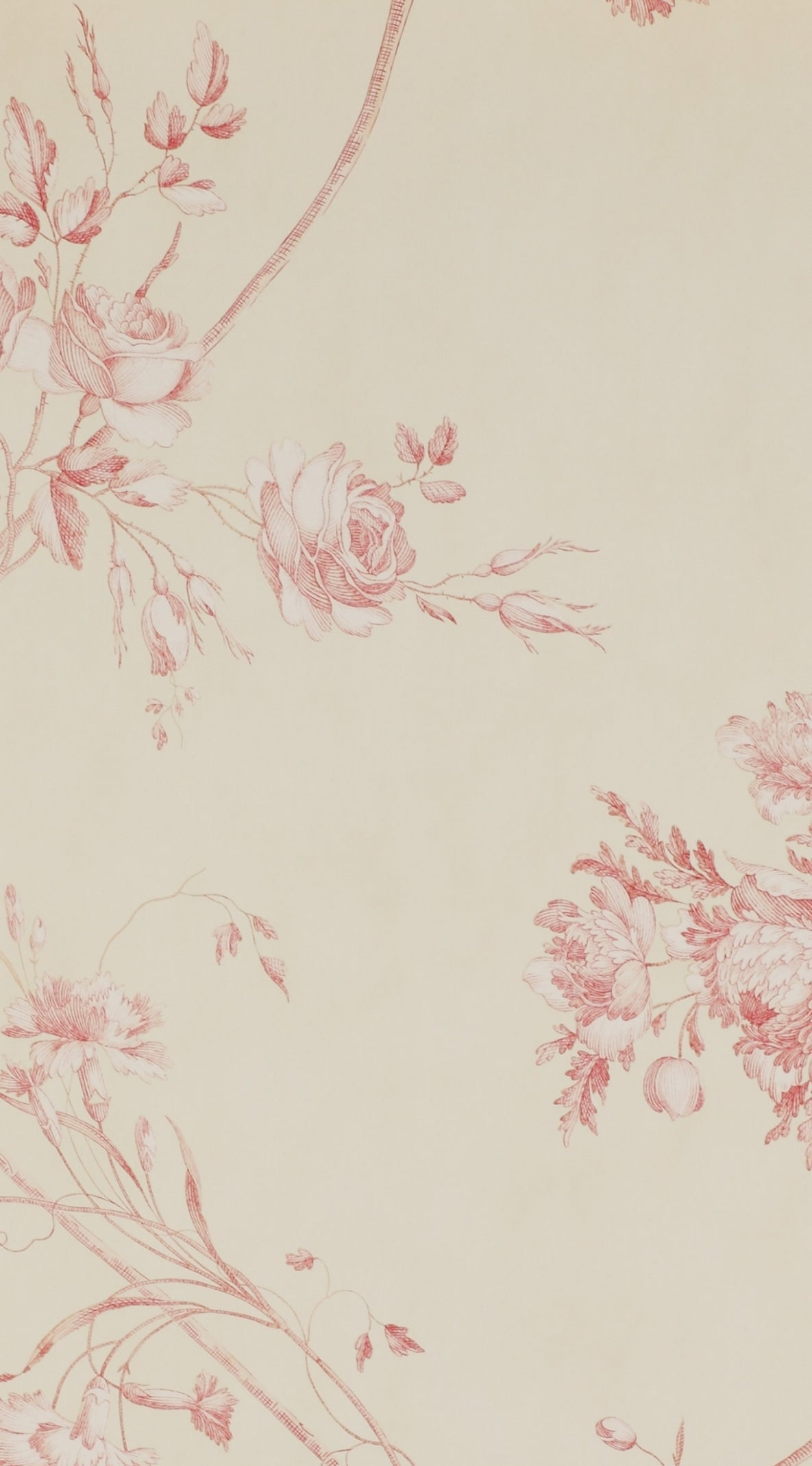 PAPEL DE PARED DARCI