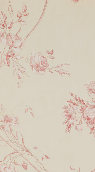 PAPEL DE PARED DARCI