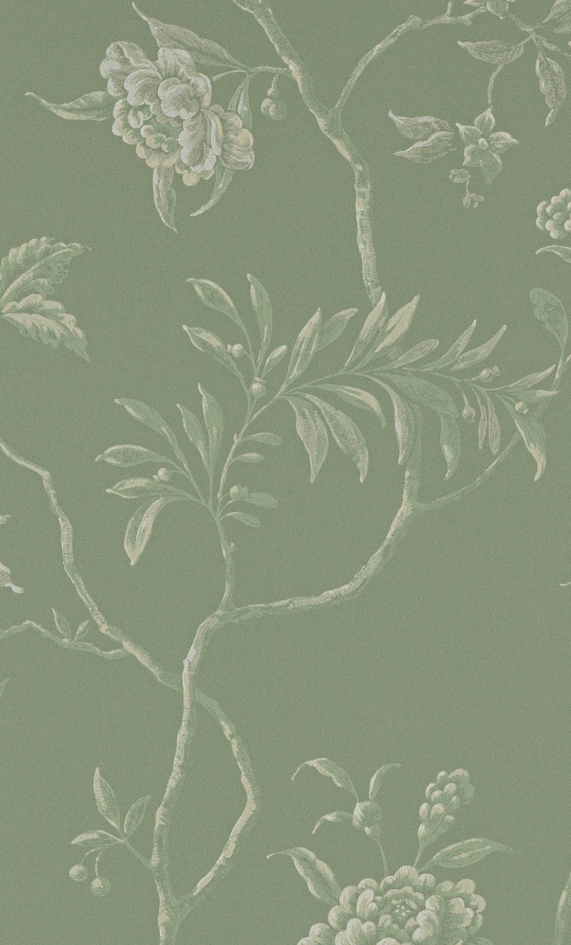 PAPEL DE PARED DELAN