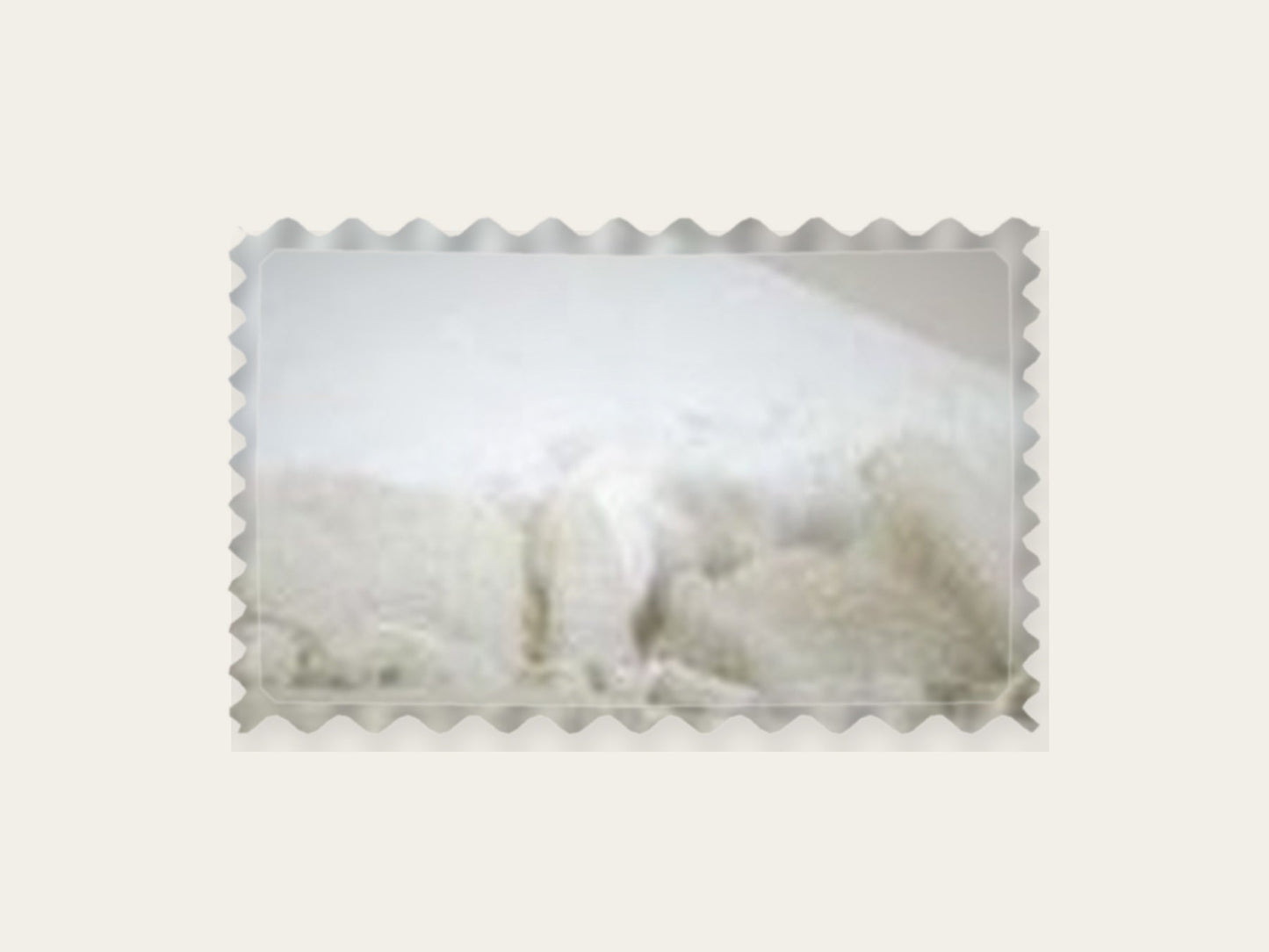 Cojines Countryside Blanco 60 x 40 cm