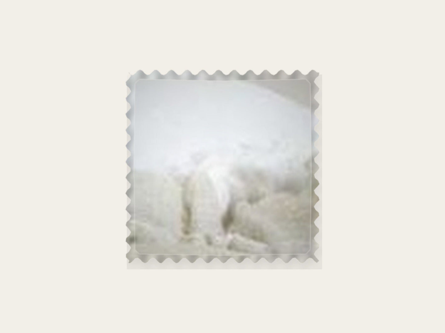 Cojines Countryside Blanco 65 x 65 cm